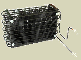 wpf0715a98_0f.jpg
